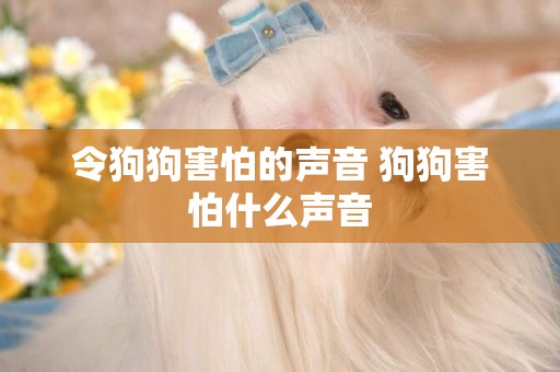 令狗狗害怕的聲音 狗狗害怕什么聲音
