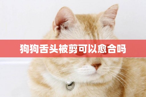 狗狗舌頭被剪可以愈合嗎