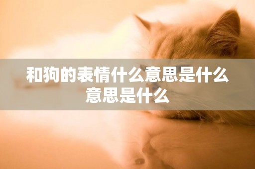 和狗的表情什么意思是什么意思是什么