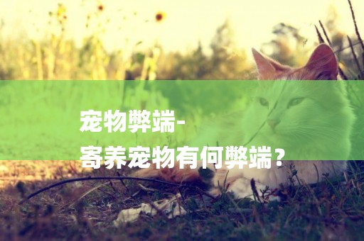 寵物弊端-
寄養寵物有何弊端？