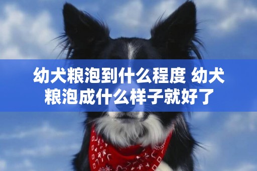 幼犬糧泡到什么程度 幼犬糧泡成什么樣子就好了