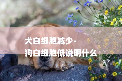 犬白細胞減少-
狗白細胞低說明什么