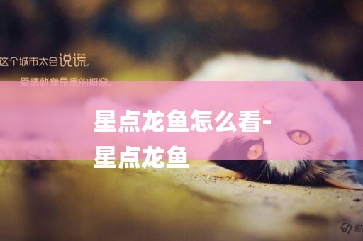 星點龍魚怎么看-
星點龍魚