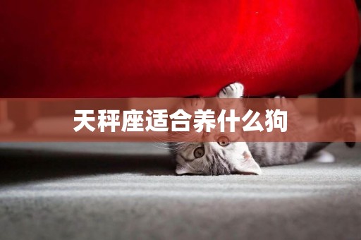 天秤座適合養什么狗
