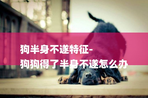 狗半身不遂特征-
狗狗得了半身不遂怎么辦