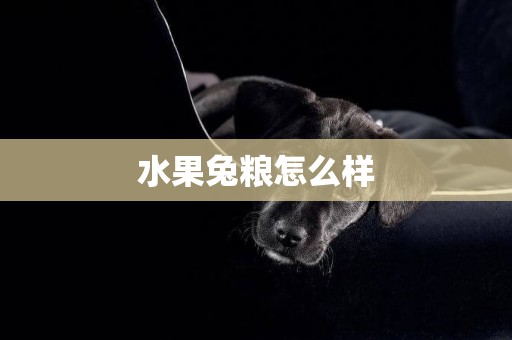 水果兔糧怎么樣