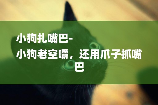 小狗扎嘴巴-
小狗老空嚼，還用爪子抓嘴巴