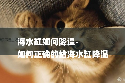 海水缸如何降溫-
如何正確的給海水缸降溫