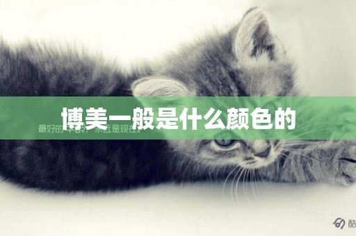 博美一般是什么顏色的