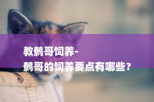 教鷯哥飼養-
鷯哥的飼養要點有哪些？