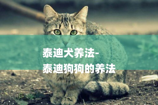 泰迪犬養法-
泰迪狗狗的養法