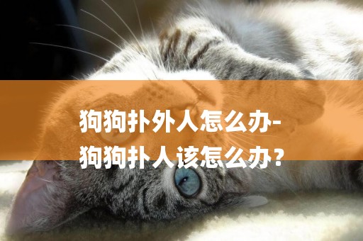 狗狗撲外人怎么辦-
狗狗撲人該怎么辦？