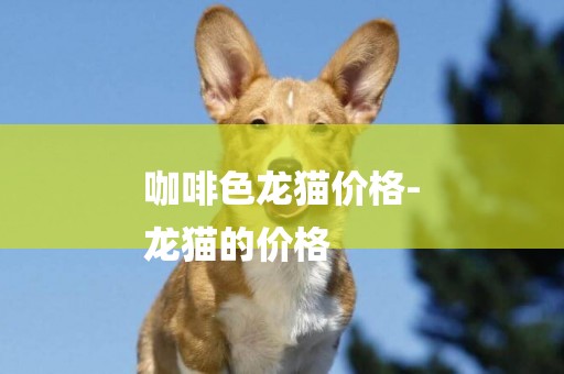 咖啡色龍貓價格-
龍貓的價格