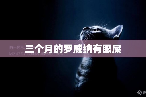 三個月的羅威納有眼屎