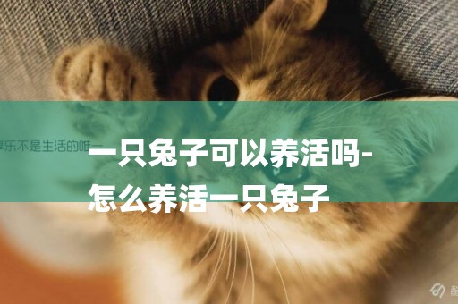 一只兔子可以養活嗎-
怎么養活一只兔子