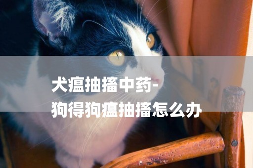 犬瘟抽搐中藥-
狗得狗瘟抽搐怎么辦