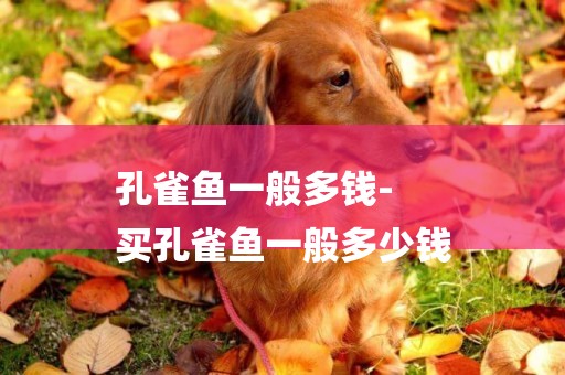孔雀魚一般多錢-
買孔雀魚一般多少錢