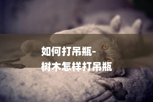 如何打吊瓶-
樹木怎樣打吊瓶