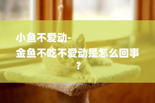 小魚不愛動-
金魚不吃不愛動是怎么回事？