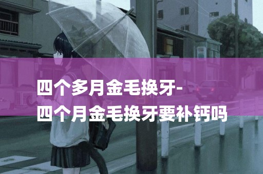 四個多月金毛換牙-
四個月金毛換牙要補鈣嗎