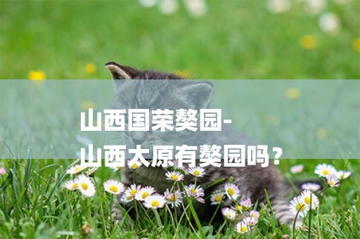 山西國榮獒園-
山西太原有獒園嗎？