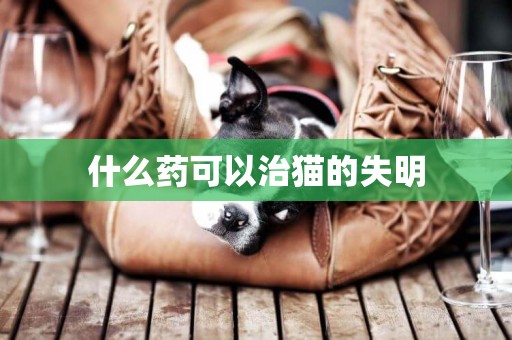 什么藥可以治貓的失明