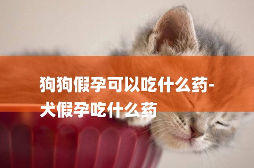 狗狗假孕可以吃什么藥-
犬假孕吃什么藥