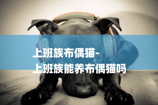 上班族布偶貓-
上班族能養布偶貓嗎
