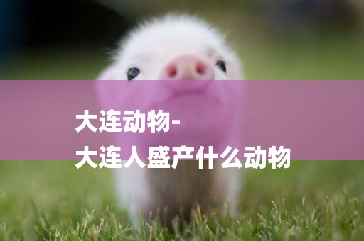 大連動物-
大連人盛產什么動物