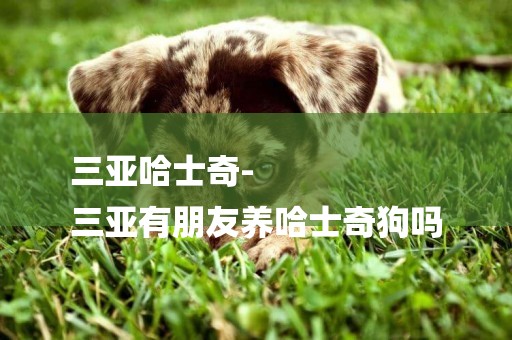三亞哈士奇-
三亞有朋友養哈士奇狗嗎