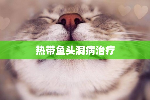 熱帶魚頭洞病治療