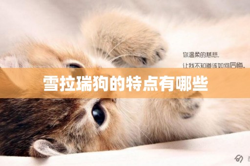 雪拉瑞狗的特點有哪些