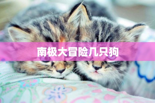 南極大冒險幾只狗