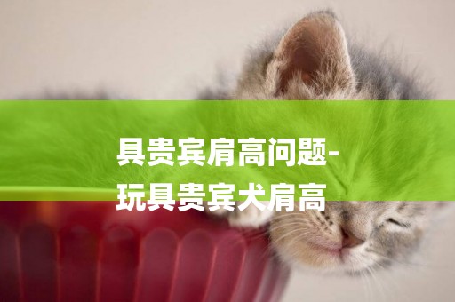 具貴賓肩高問題-
玩具貴賓犬肩高