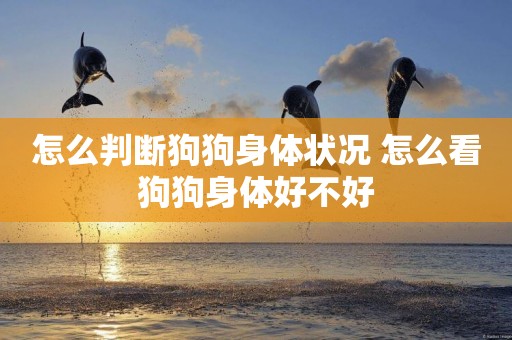怎么判斷狗狗身體狀況 怎么看狗狗身體好不好