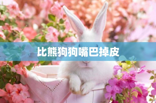 比熊狗狗嘴巴掉皮