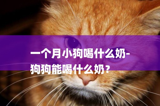 一個月小狗喝什么奶-
狗狗能喝什么奶？