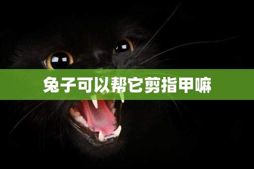 兔子可以幫它剪指甲嘛