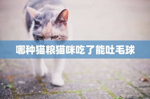 哪種貓糧貓咪吃了能吐毛球
