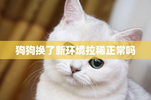 狗狗換了新環境拉稀正常嗎