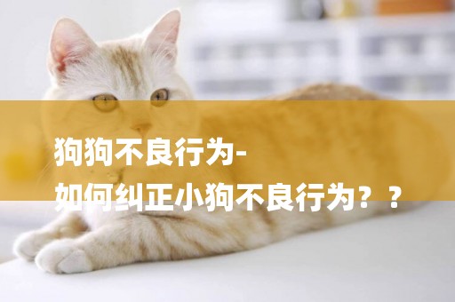 狗狗不良行為-
如何糾正小狗不良行為？？