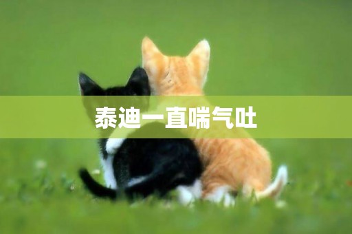 泰迪一直喘氣吐