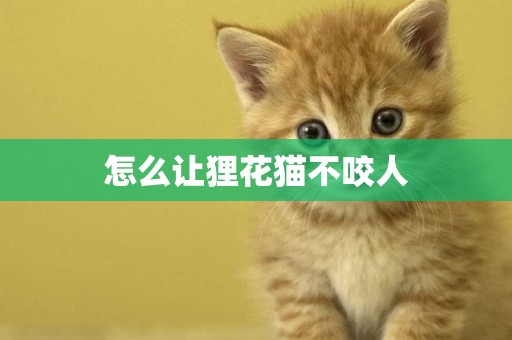 怎么讓貍花貓不咬人