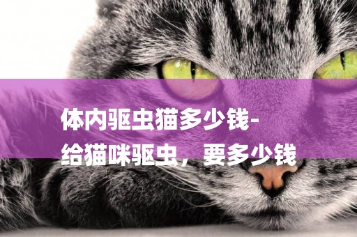 體內驅蟲貓多少錢-
給貓咪驅蟲，要多少錢