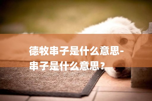 德牧串子是什么意思-
串子是什么意思？