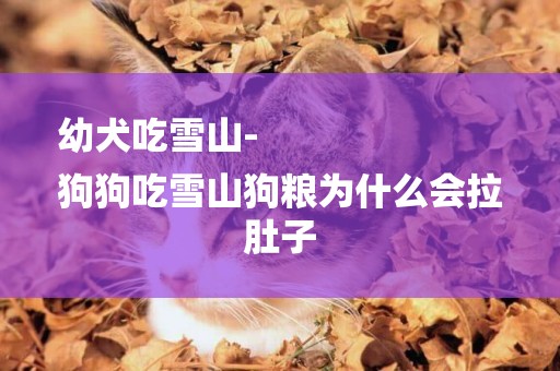 幼犬吃雪山-
狗狗吃雪山狗糧為什么會拉肚子