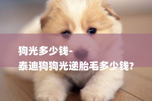 狗光多少錢-
泰迪狗狗光遞胎毛多少錢?