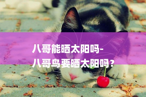 八哥能曬太陽嗎-
八哥鳥要曬太陽嗎？