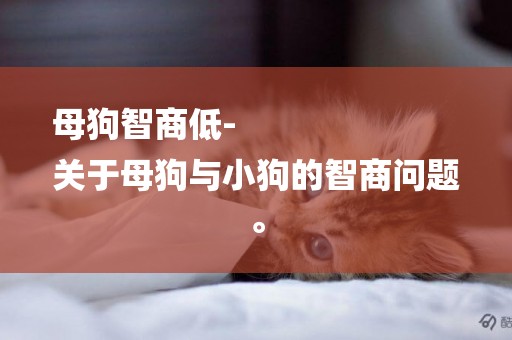 母狗智商低-
關于母狗與小狗的智商問題。