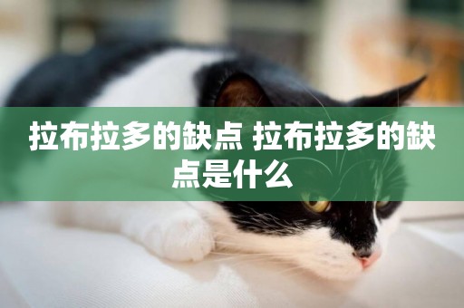 拉布拉多的缺點 拉布拉多的缺點是什么